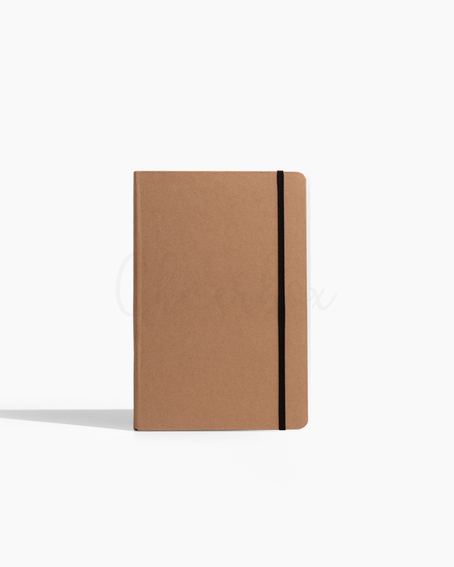 Prism Professional - Premium Gifting Diary