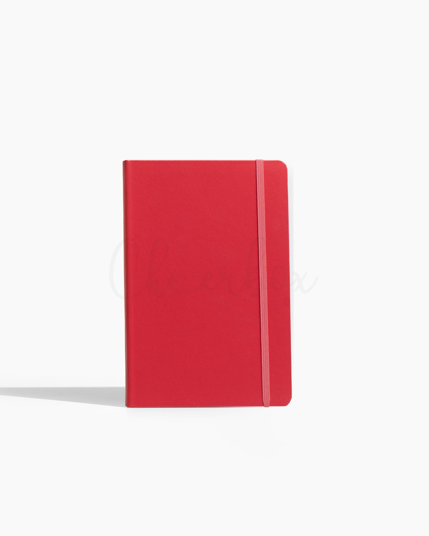 Prism Professional - Premium Gifting Diary