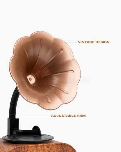 Retro Gramophone - Vintage Bluetooth Speaker