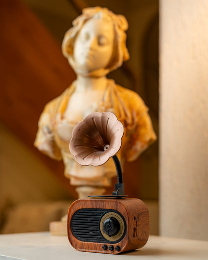 Retro Gramophone - Vintage Bluetooth Speaker